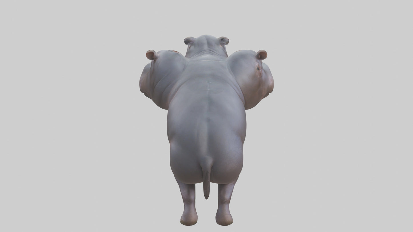 3D model Pygmy Hippo walking model VR / AR / low-poly