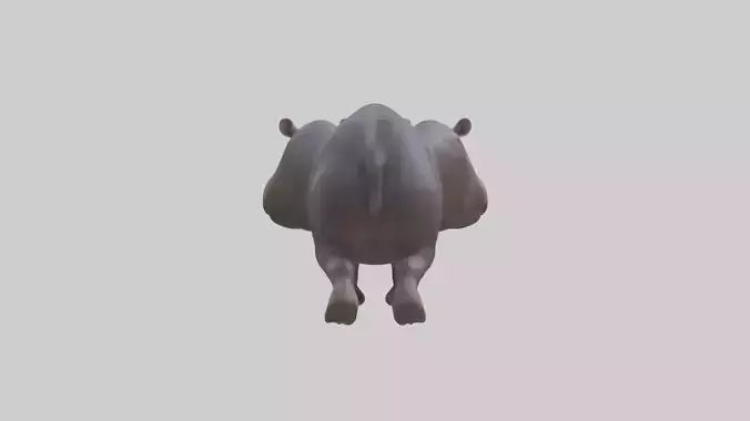 3D model Pygmy Hippo walking model VR / AR / low-poly
