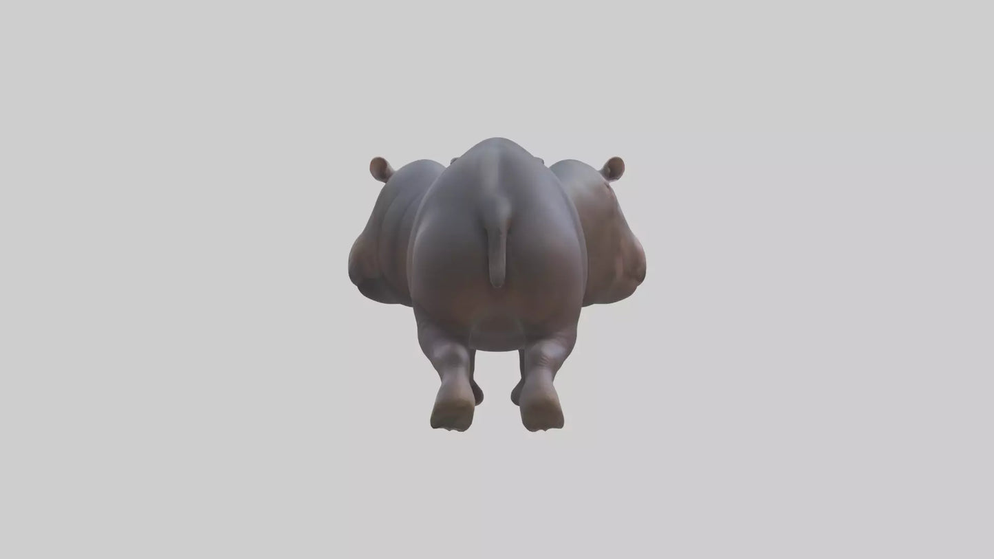 3D model Pygmy Hippo walking model VR / AR / low-poly
