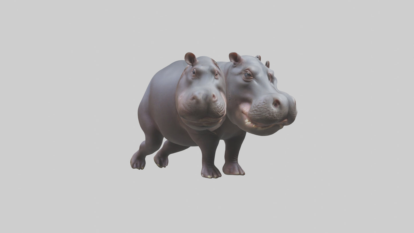 3D model Pygmy Hippo walking model VR / AR / low-poly