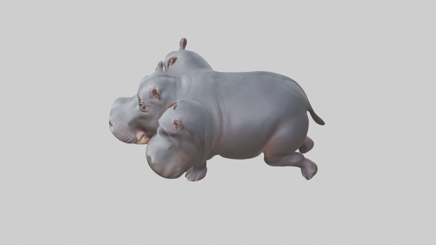 3D model Pygmy Hippo walking model VR / AR / low-poly