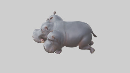 3D model Pygmy Hippo walking model VR / AR / low-poly