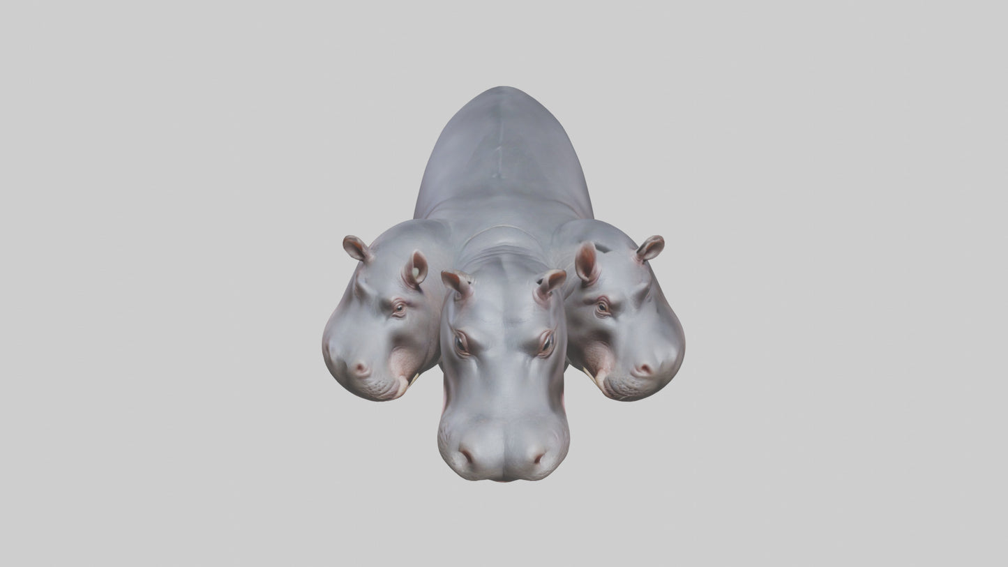 3D model Pygmy Hippo walking model VR / AR / low-poly