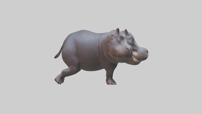 3D model Pygmy Hippo walking model VR / AR / low-poly