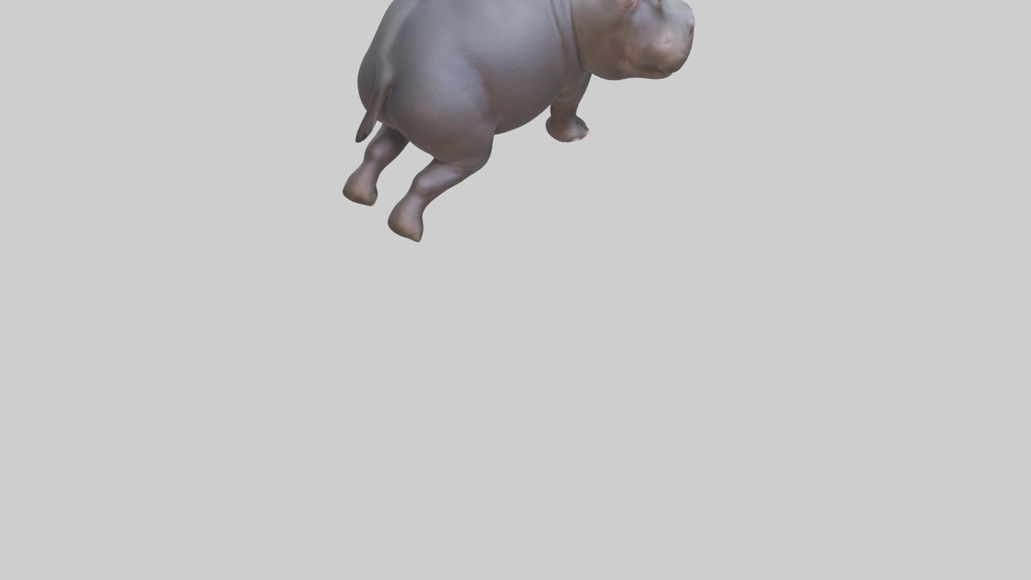 3D model Pygmy Hippo walking model VR / AR / low-poly