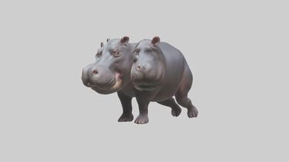 3D model Pygmy Hippo walking model VR / AR / low-poly