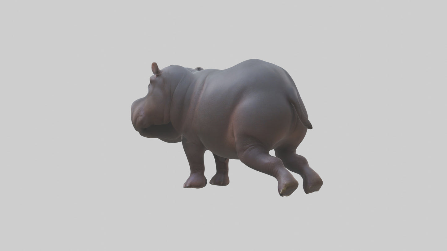 3D model Pygmy Hippo walking model VR / AR / low-poly