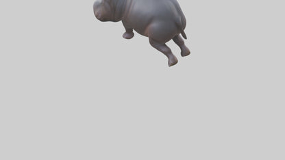 3D model Pygmy Hippo walking model VR / AR / low-poly