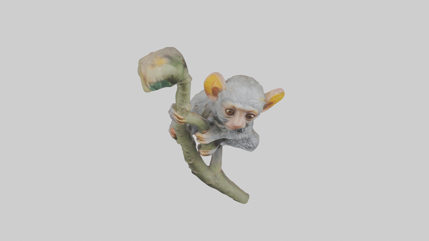 Pygmy Marmoset climbing model VR / AR / low-poly