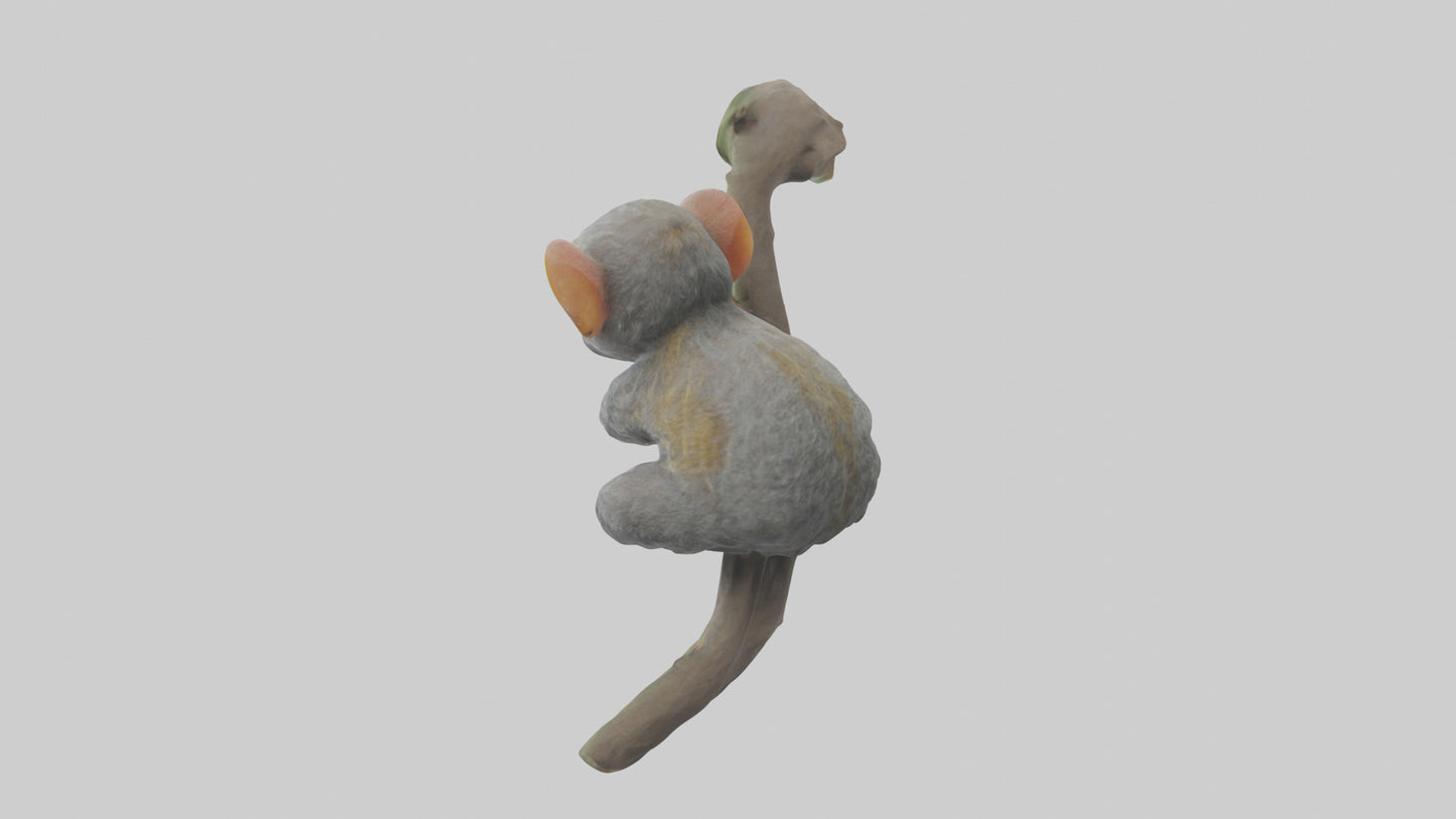 Pygmy Marmoset climbing model VR / AR / low-poly