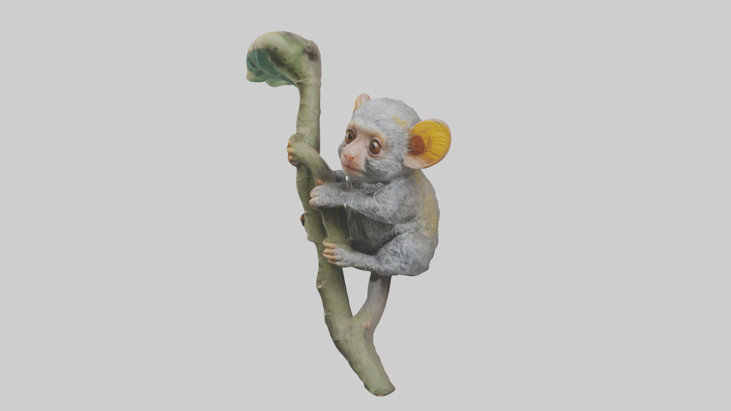 Pygmy Marmoset climbing model VR / AR / low-poly