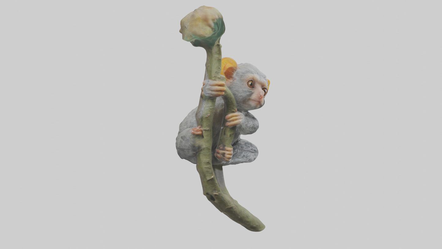 Pygmy Marmoset climbing model VR / AR / low-poly
