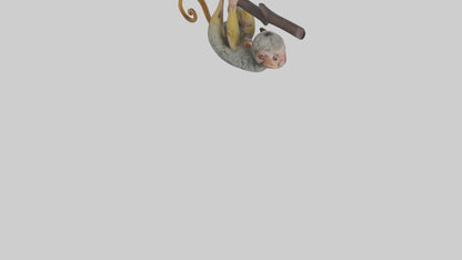 Pygmy Marmoset hanging model VR / AR / low-poly