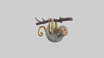 Pygmy Marmoset hanging model VR / AR / low-poly