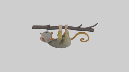 Pygmy Marmoset hanging model VR / AR / low-poly