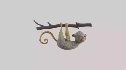 Pygmy Marmoset hanging model VR / AR / low-poly