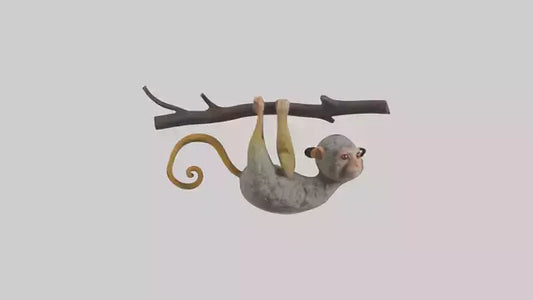 Pygmy Marmoset hanging model VR / AR / low-poly