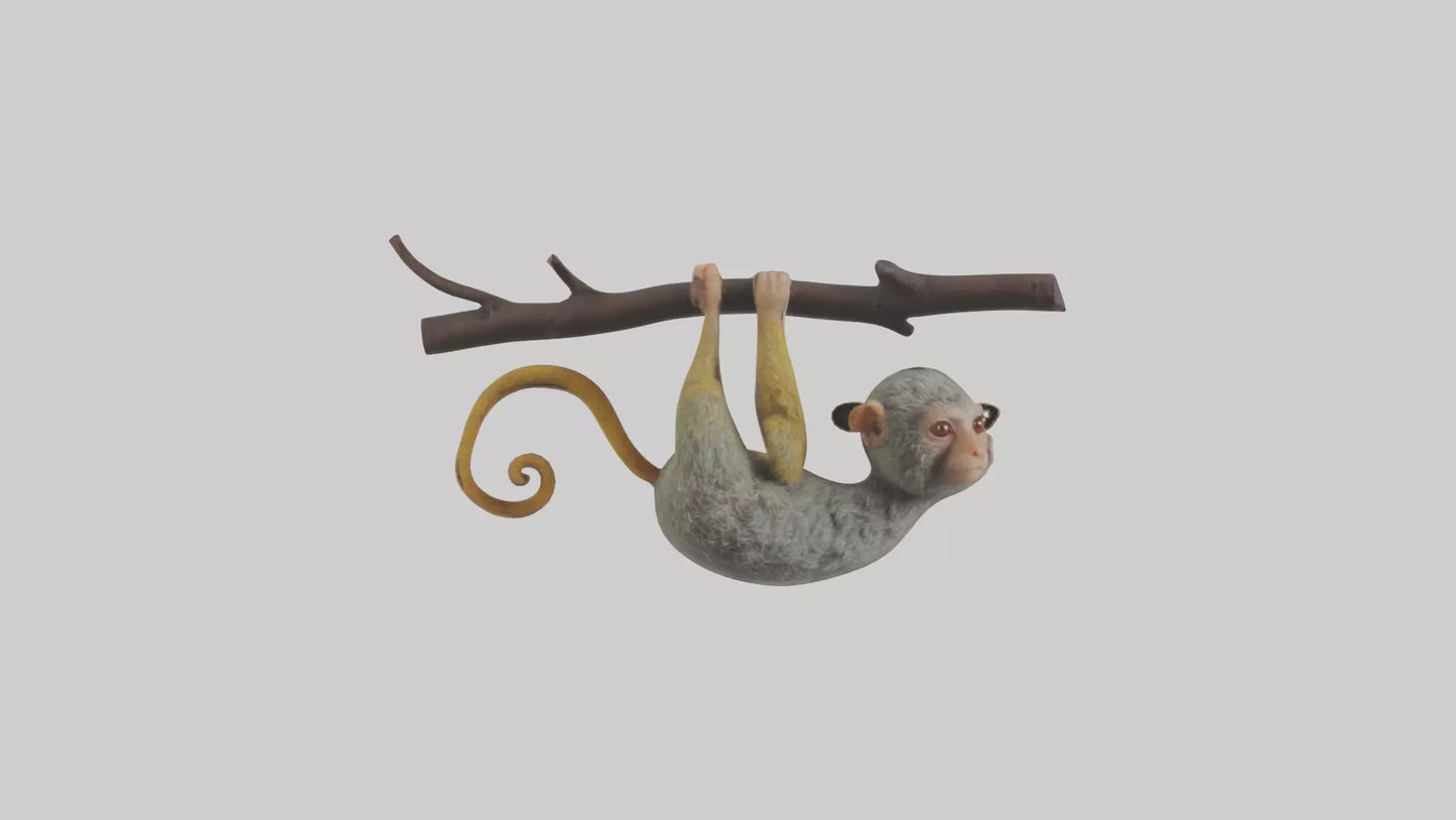 Pygmy Marmoset hanging model VR / AR / low-poly