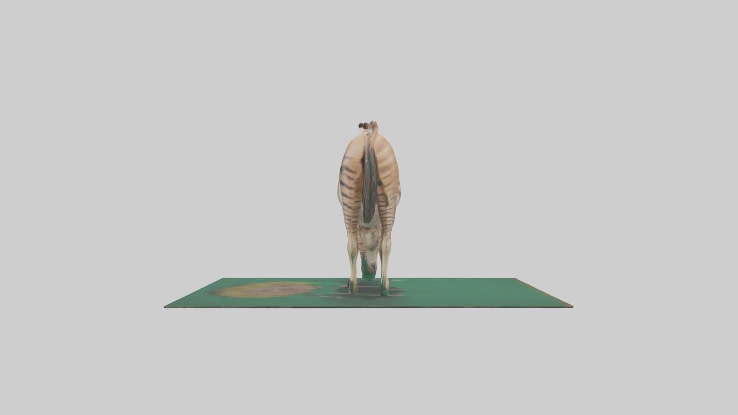 3D model Quagga grazing extinct model VR / AR / low-poly