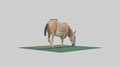 3D model Quagga grazing extinct model VR / AR / low-poly