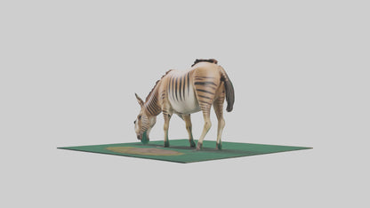 3D model Quagga grazing extinct model VR / AR / low-poly