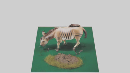 3D model Quagga grazing extinct model VR / AR / low-poly
