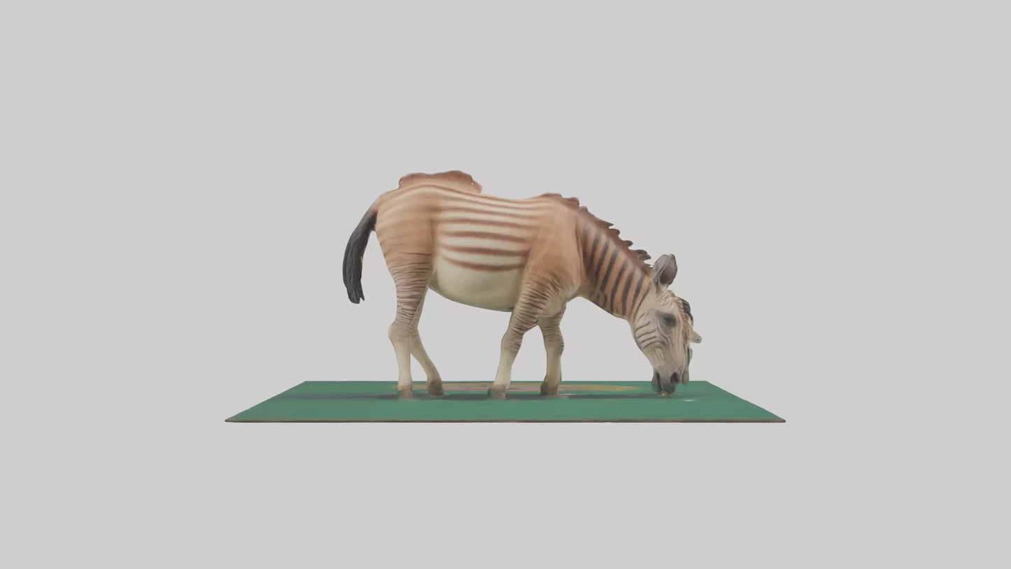 3D model Quagga grazing extinct model VR / AR / low-poly