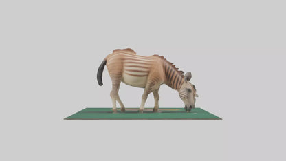 3D model Quagga grazing extinct model VR / AR / low-poly