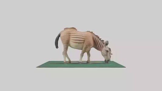 3D model Quagga grazing extinct model VR / AR / low-poly