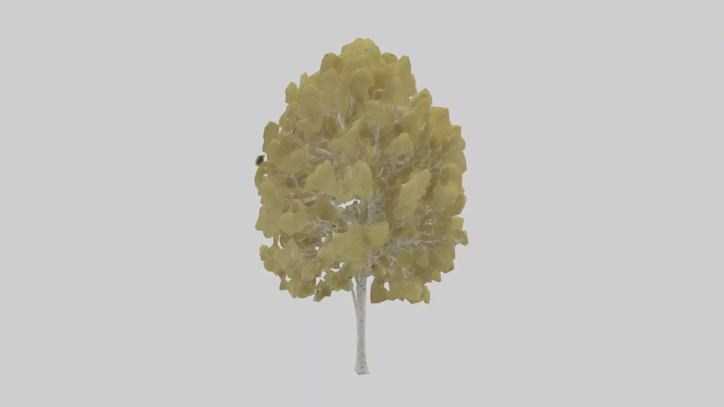 3D model Quaking Aspen tree model VR / AR / low-poly