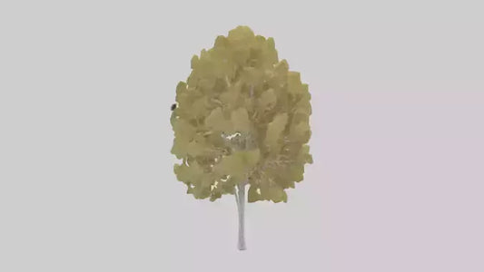3D model Quaking Aspen tree model VR / AR / low-poly