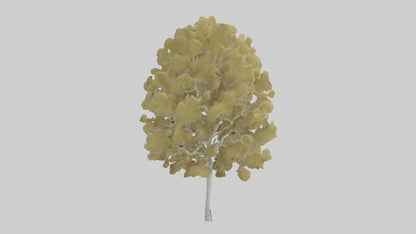 3D model Quaking Aspen tree model VR / AR / low-poly