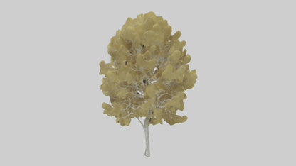 3D model Quaking Aspen tree model VR / AR / low-poly