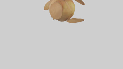 3D model Quince model VR / AR / low-poly