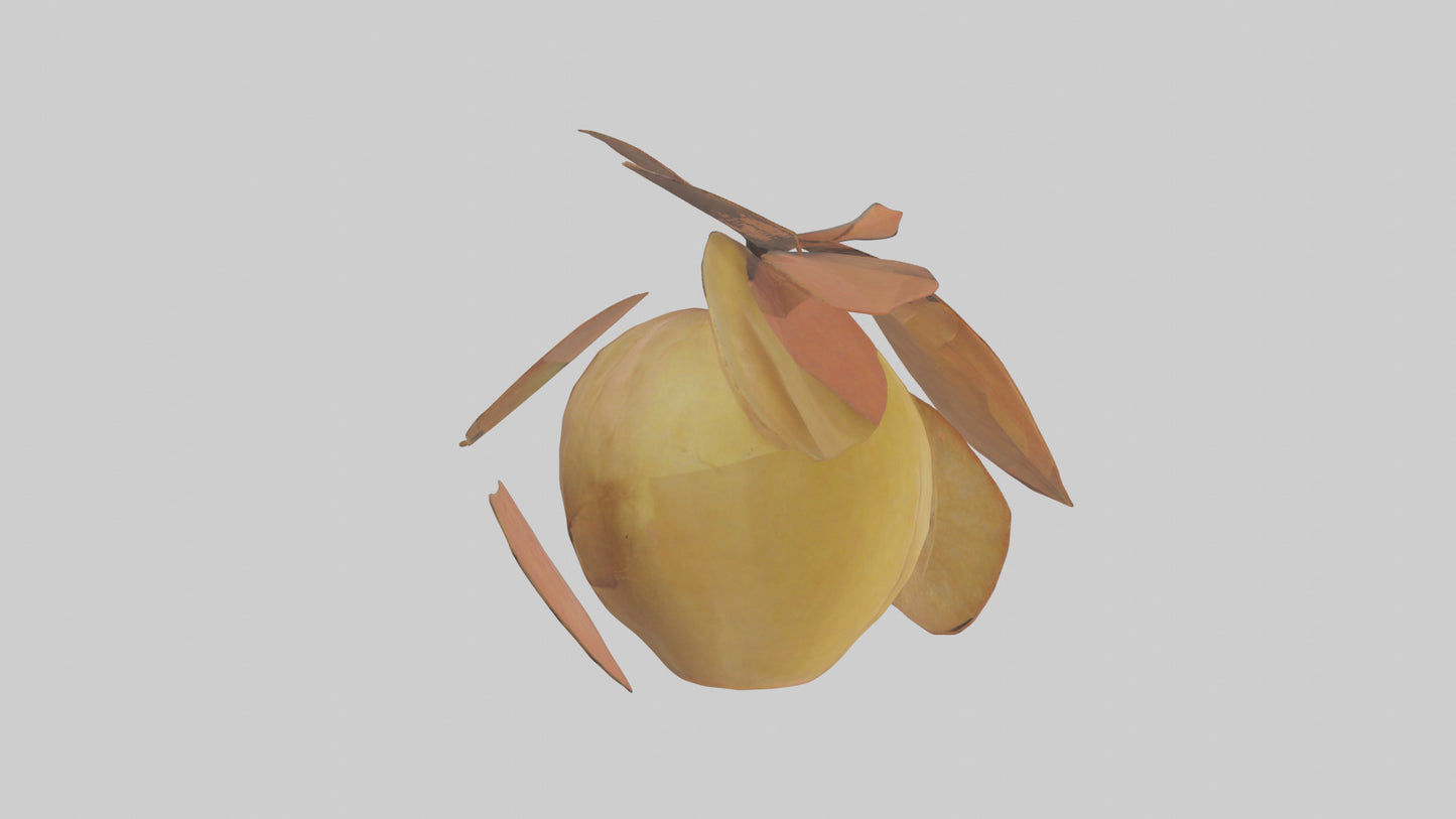 3D model Quince model VR / AR / low-poly