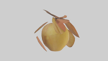 3D model Quince model VR / AR / low-poly