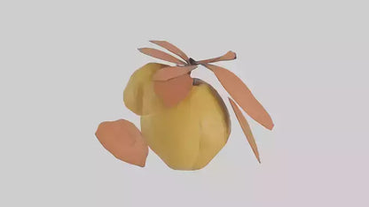 3D model Quince model VR / AR / low-poly