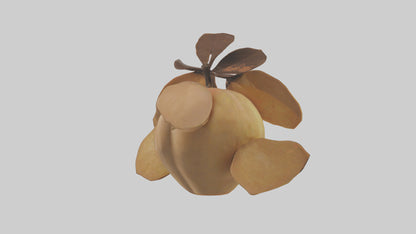 3D model Quince model VR / AR / low-poly