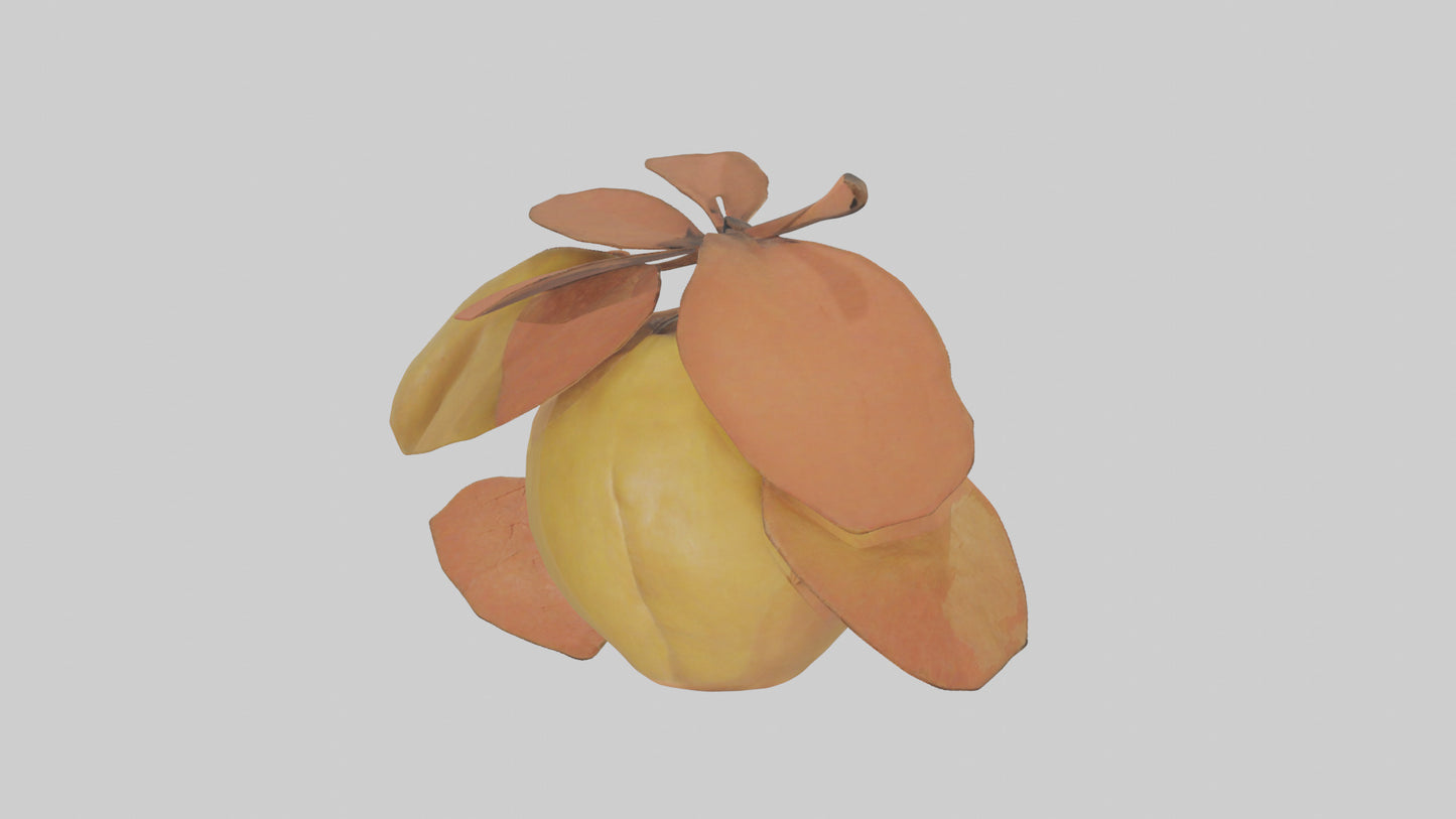3D model Quince model VR / AR / low-poly