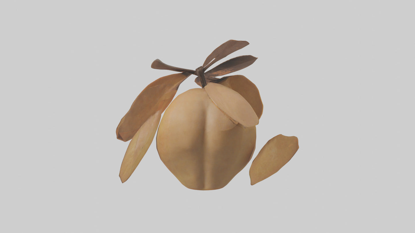 3D model Quince model VR / AR / low-poly