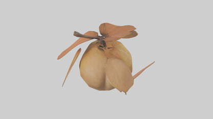 3D model Quince model VR / AR / low-poly