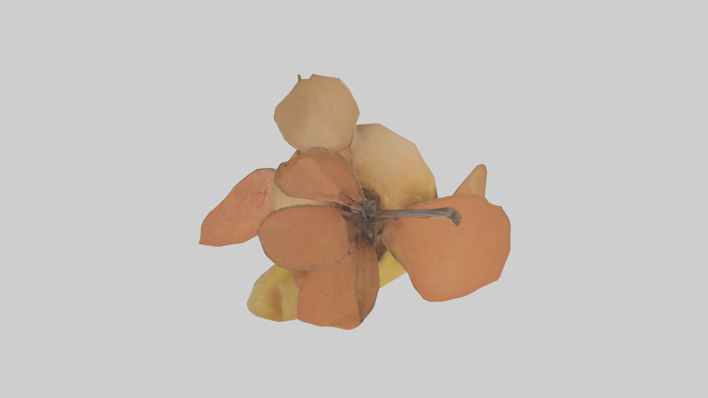 3D model Quince model VR / AR / low-poly