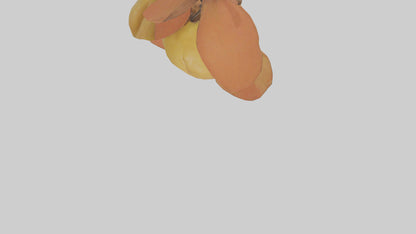 3D model Quince model VR / AR / low-poly