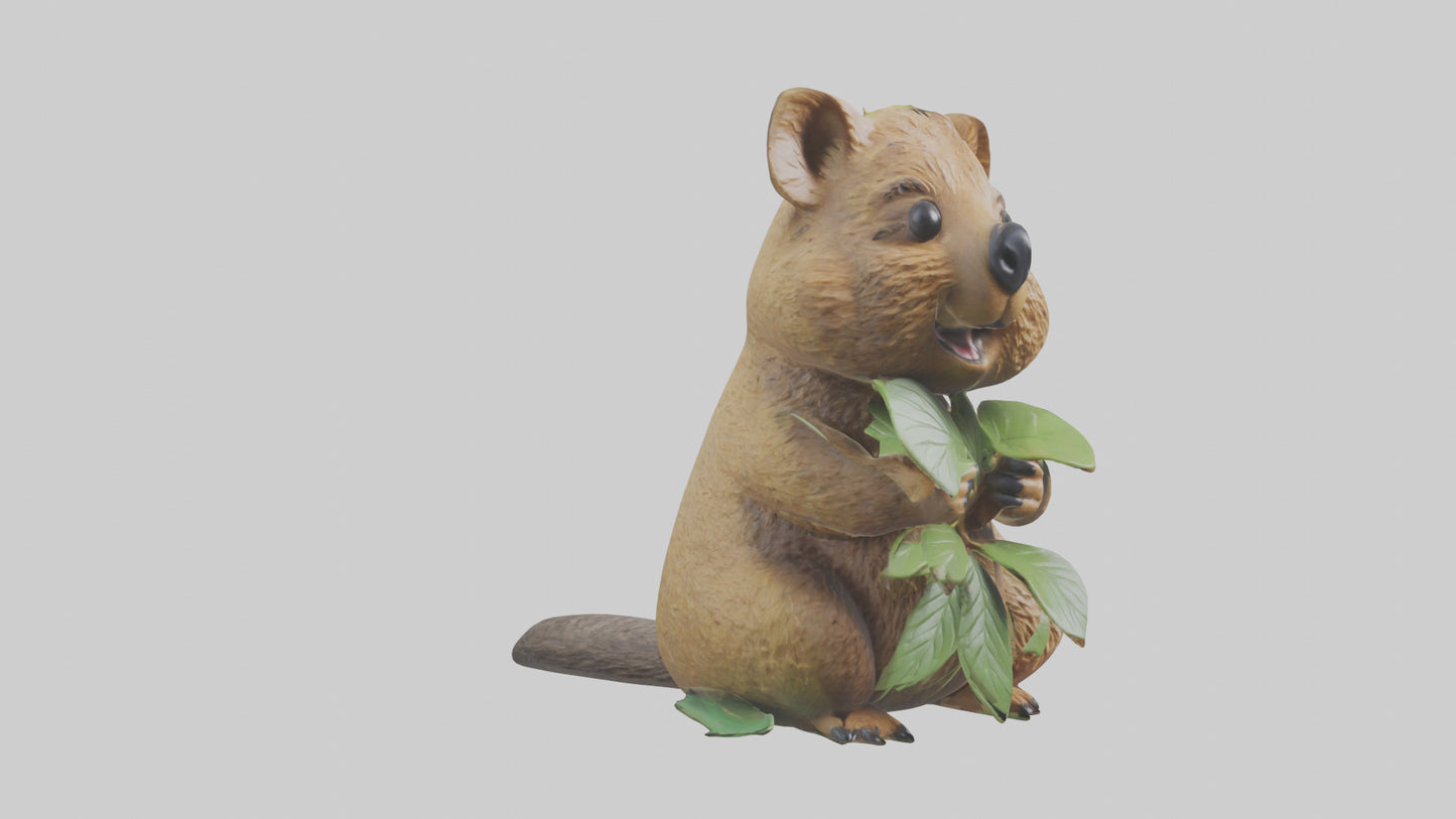 3D model Quokka munching leaves model VR / AR / low-poly