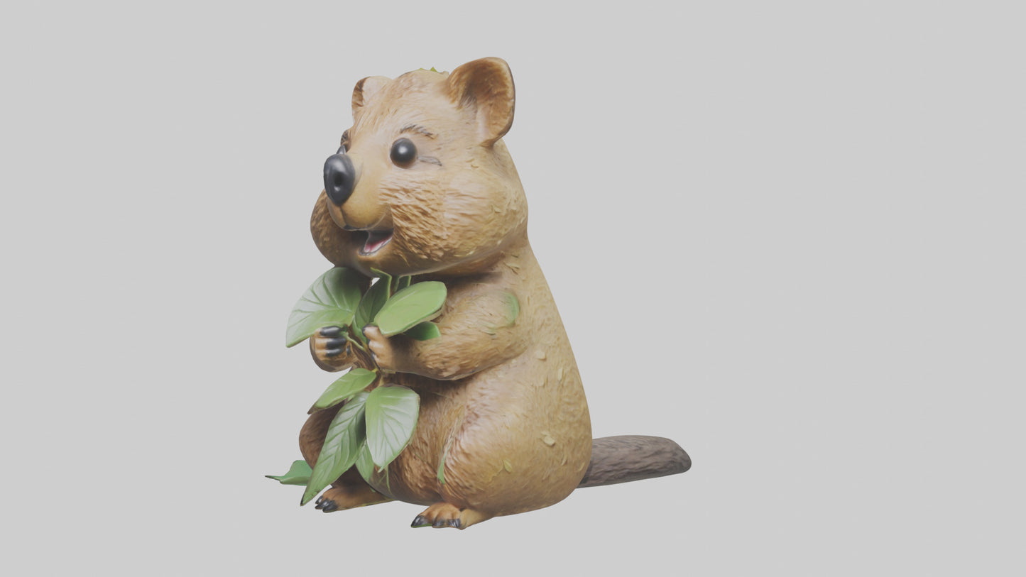 3D model Quokka munching leaves model VR / AR / low-poly