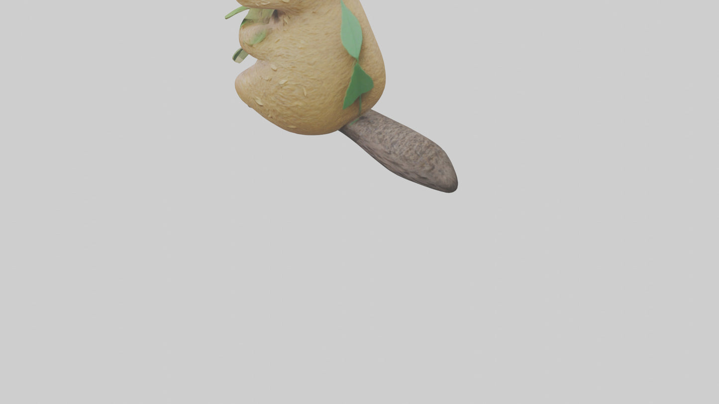 3D model Quokka munching leaves model VR / AR / low-poly