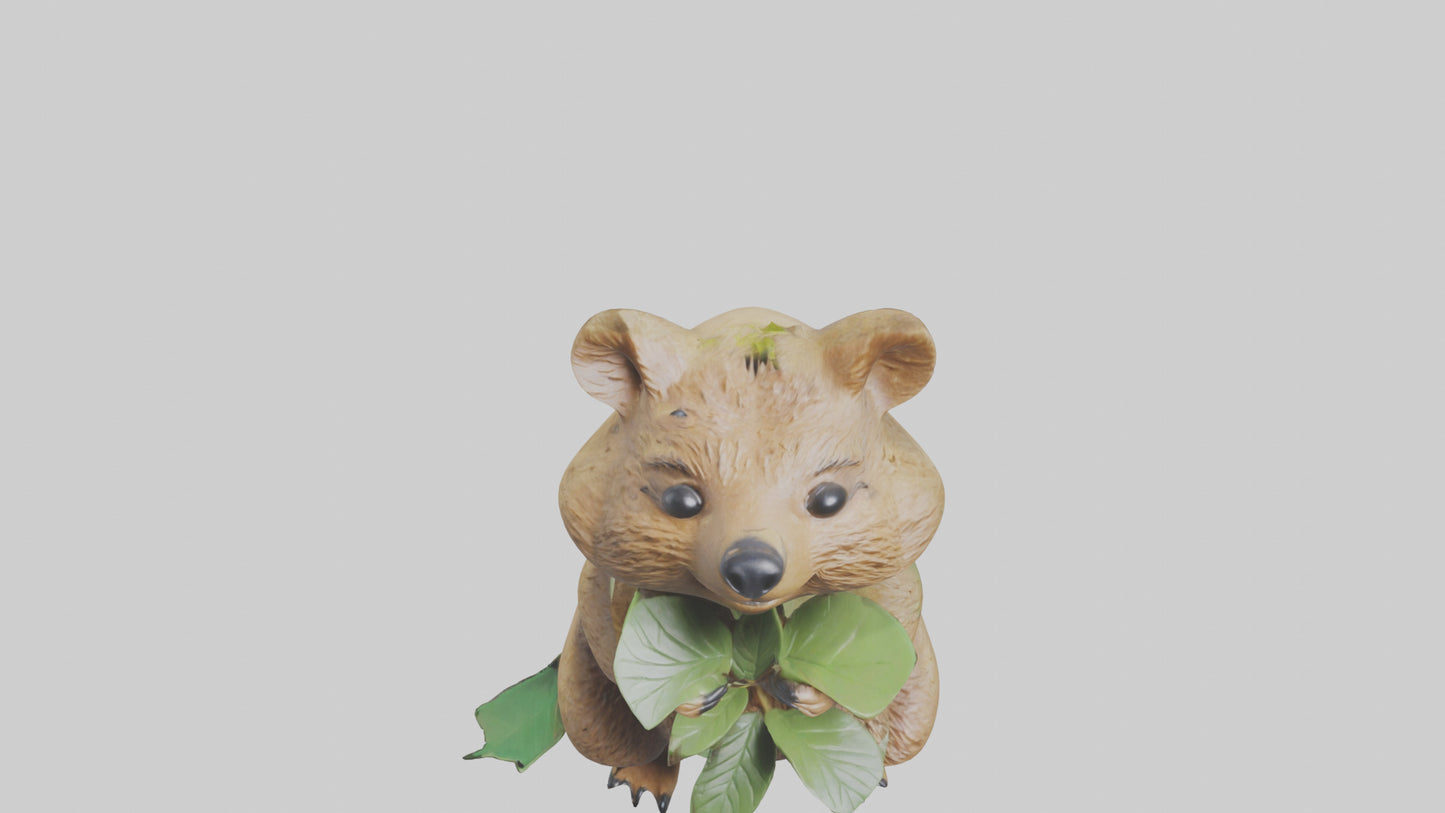 3D model Quokka munching leaves model VR / AR / low-poly