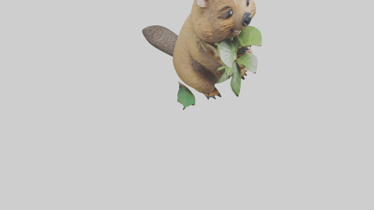 3D model Quokka munching leaves model VR / AR / low-poly