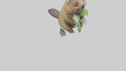 3D model Quokka munching leaves model VR / AR / low-poly