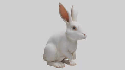 3D model Rabbit Body VR / AR / low-poly